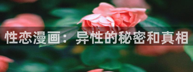 天将女子妖精动漫：性恋漫画：异性的秘密和真相